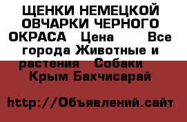 ЩЕНКИ НЕМЕЦКОЙ ОВЧАРКИ ЧЕРНОГО ОКРАСА › Цена ­ 1 - Все города Животные и растения » Собаки   . Крым,Бахчисарай